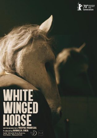 «اسب سفید بالدار» در هفتادمین دوره جشنواره برلین