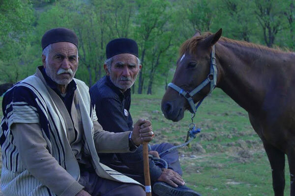 کوچ عشایر ایران سوژه «تراژدی کرونا» شد/ سال سیاه کوچروان