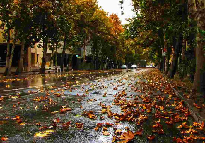 امسال خیابان ولیعصر ثبت جهانی می شود