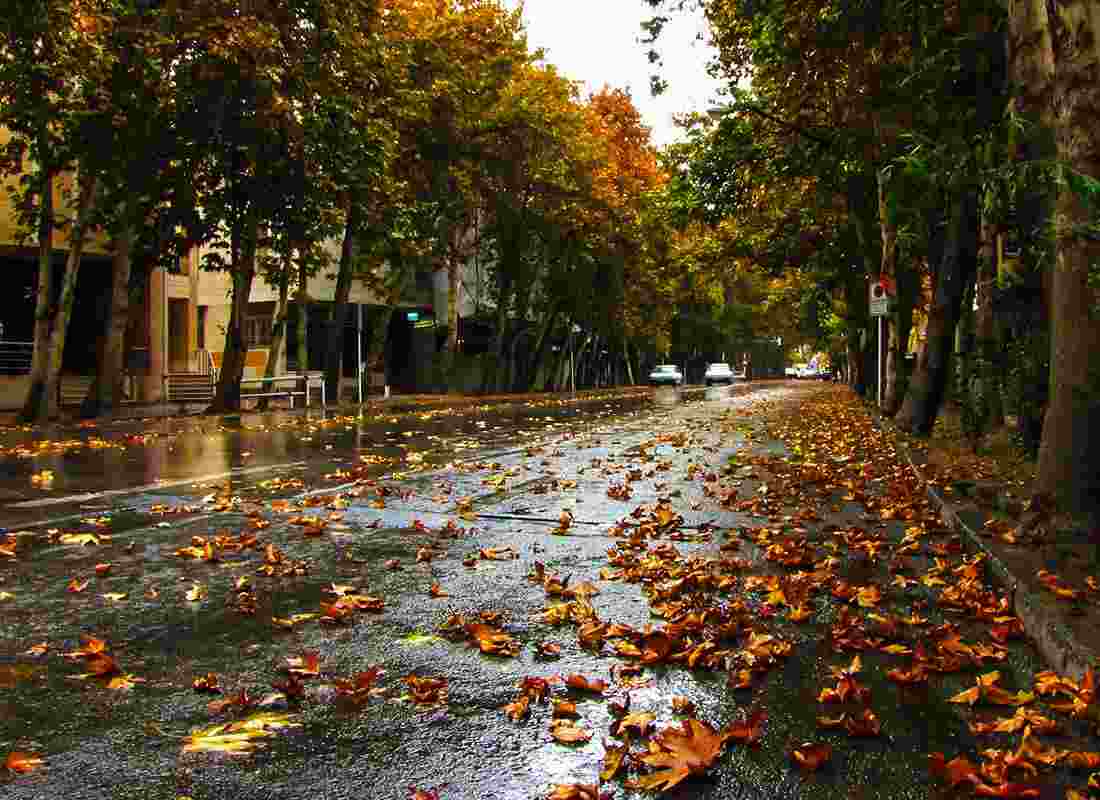 امسال خیابان ولیعصر ثبت جهانی می شود