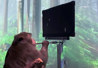 تجربه یک میمون از انجام بازی ویدئویی به کمک ذهن